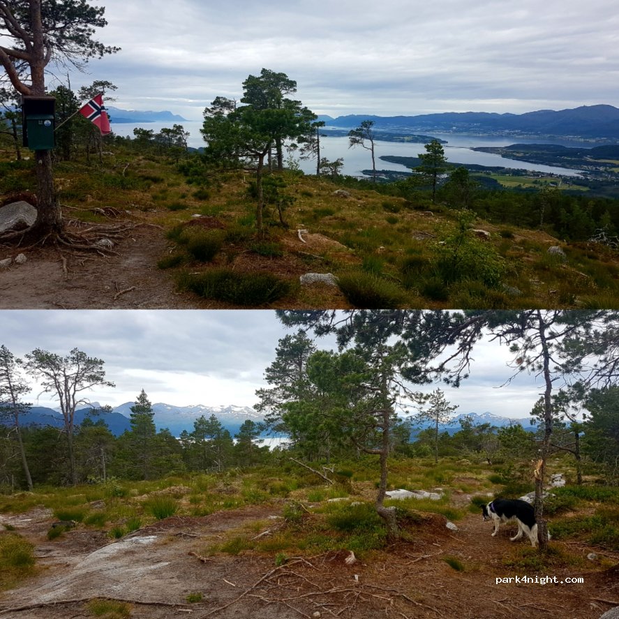 (6456)  - 20 Primær Fylkesveg 64 — foto 2
