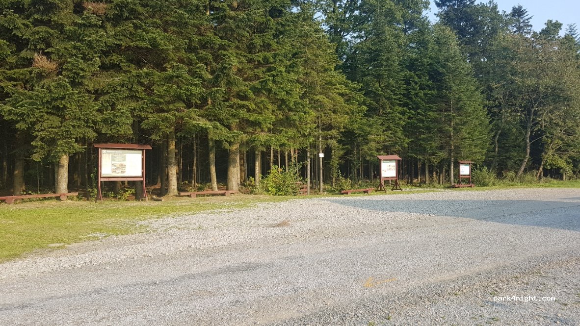 (38-450) Wola Nizna - 12 Droga Wojewódzka 897 — foto