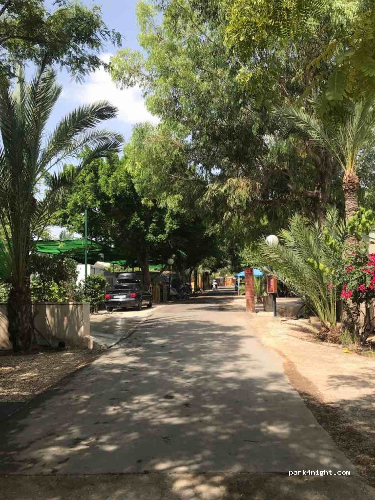 Càmping Les Palmeres — foto
