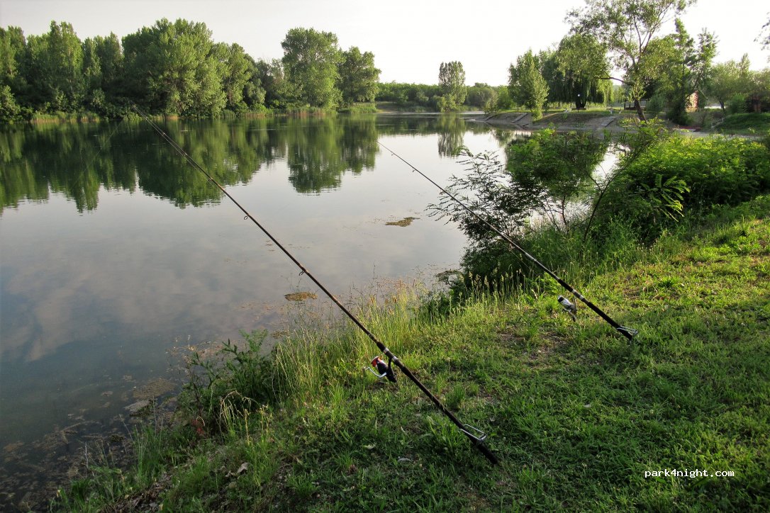 Camp Relax — foto 4