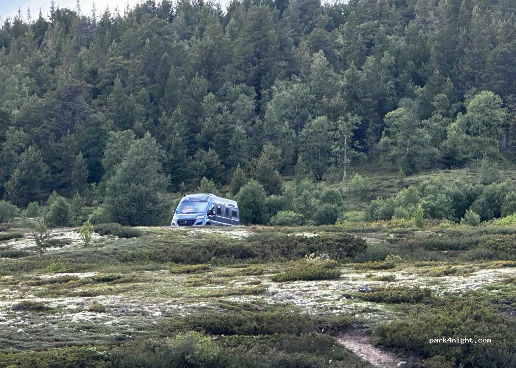 (2660)  - Primær Fylkesveg 29 — foto 4