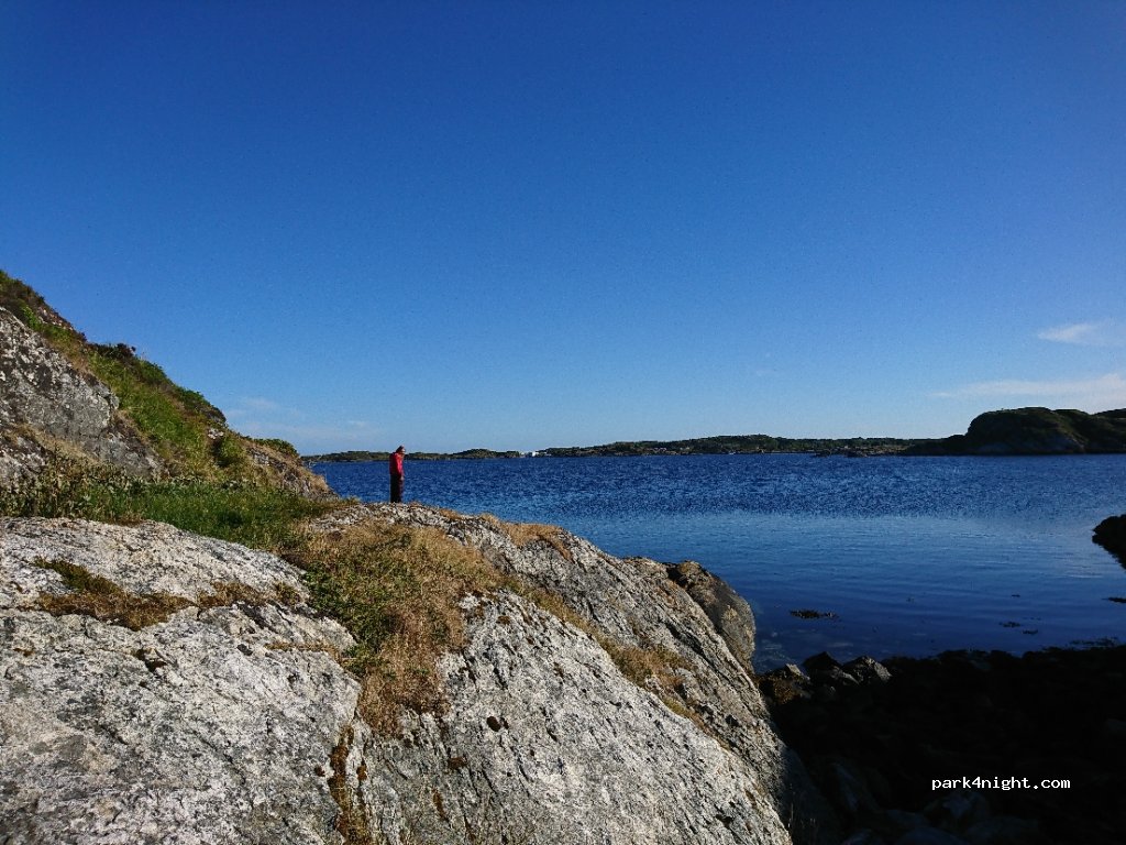 (7241)  - 186 Primær Fylkesveg 714 — foto