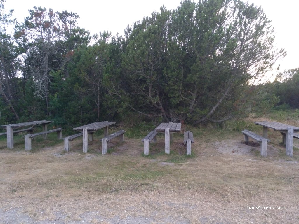 (9990) Skagen - 2 Råbjerg Mile Vej — foto
