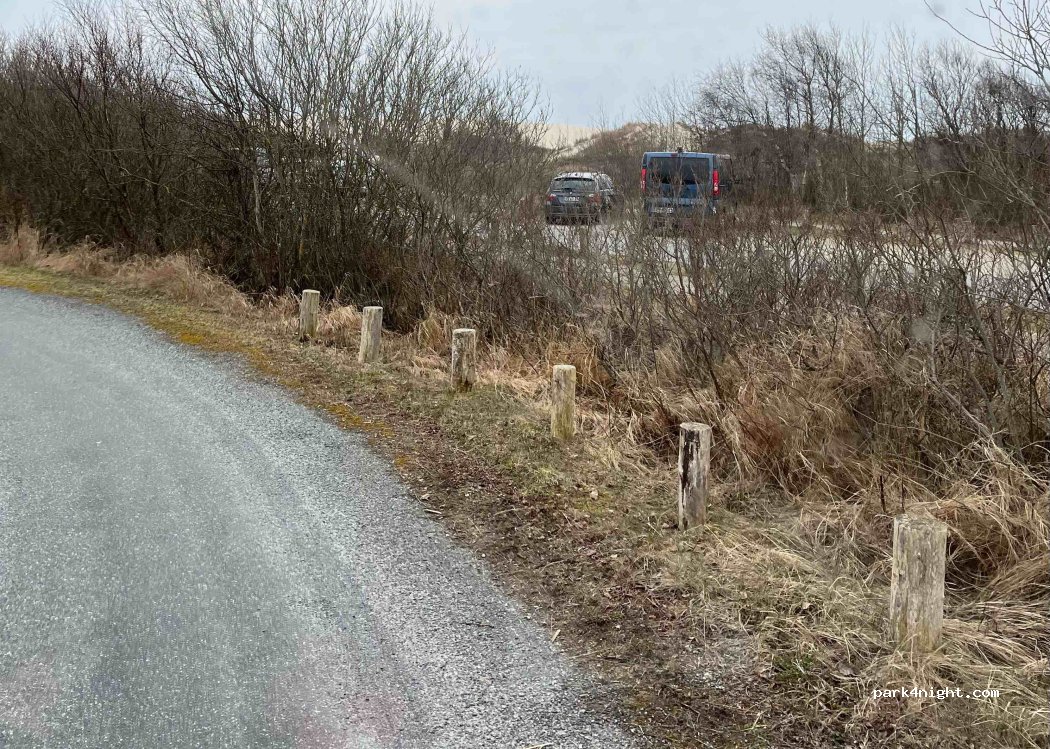 (9990) Skagen - 2 Råbjerg Mile Vej — foto 2