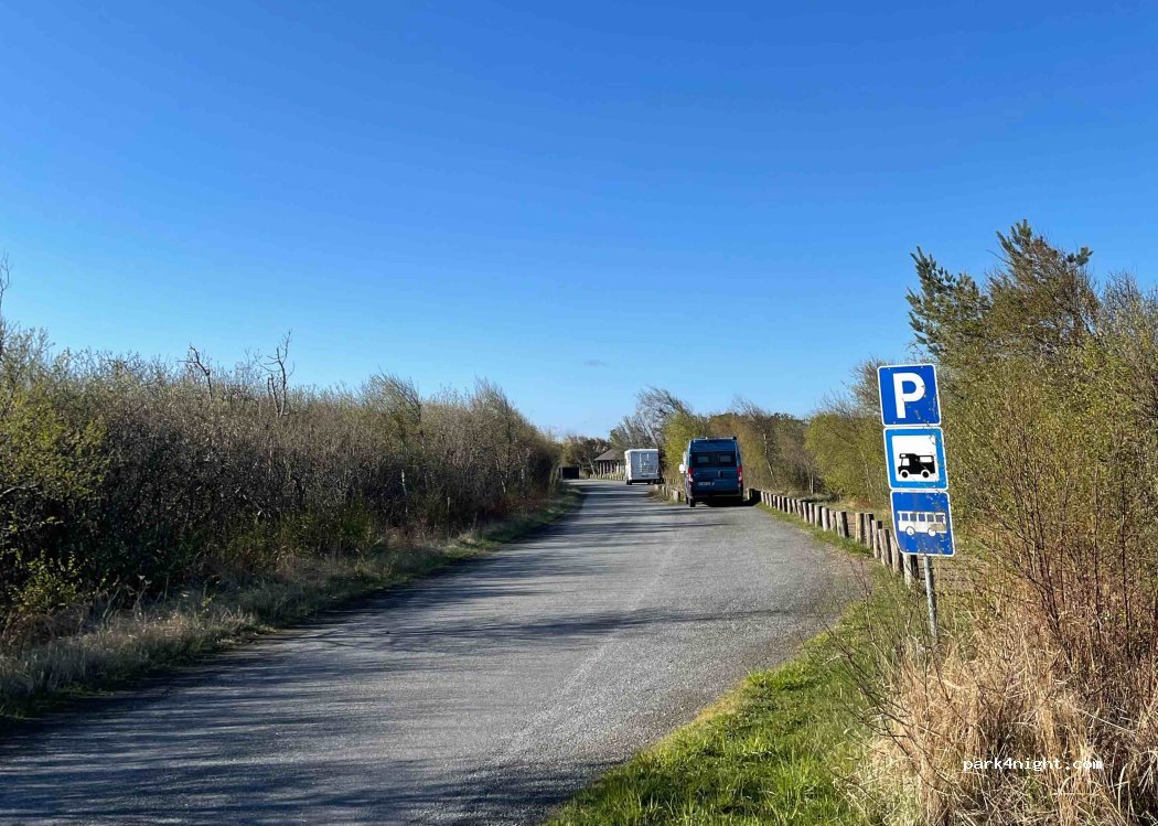 (9990) Skagen - 2 Råbjerg Mile Vej — foto 3