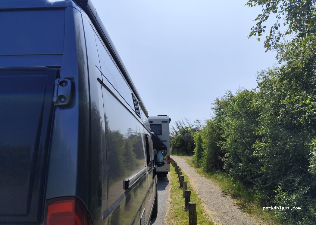 (9990) Skagen - 2 Råbjerg Mile Vej — foto 5