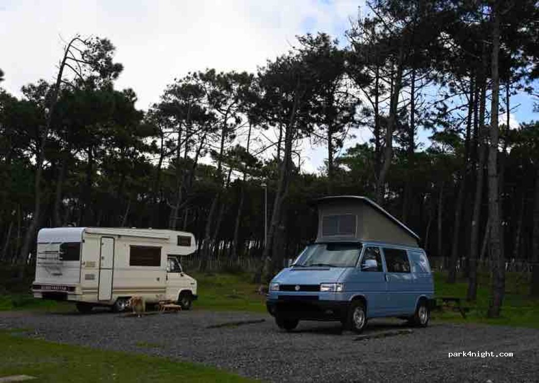 (40170) Saint-Julien-en-Born - 259 Avenue du Phare — foto 4