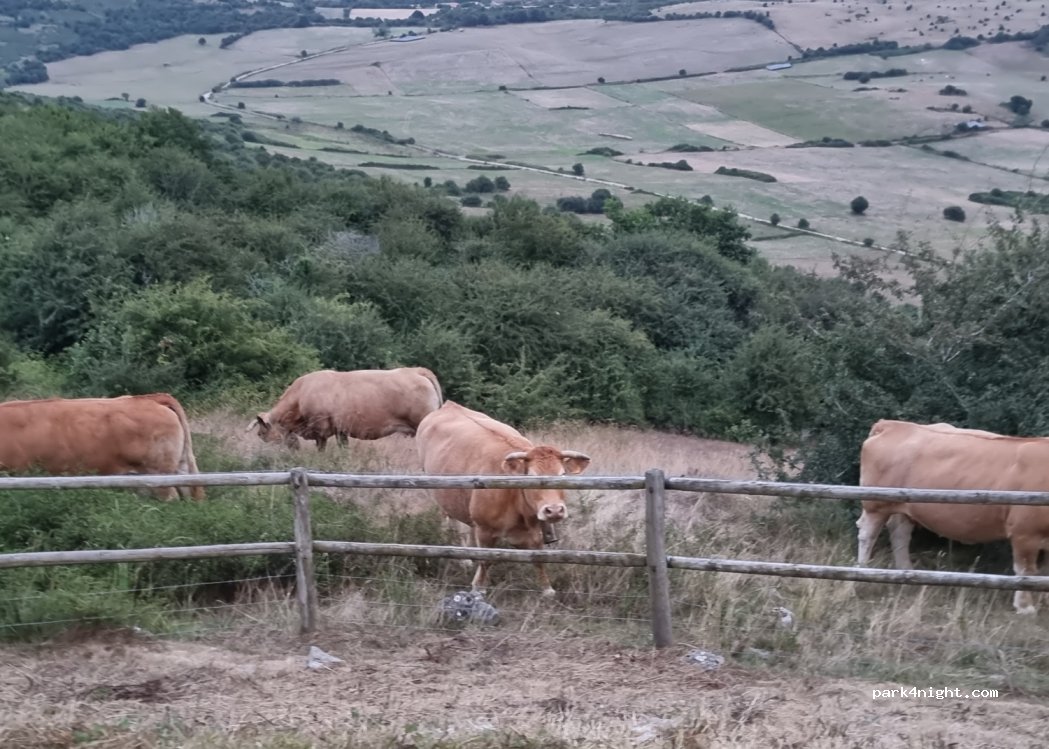 (39292) Campoo de Yuso - Diseminado Monegro, 44A — foto 4