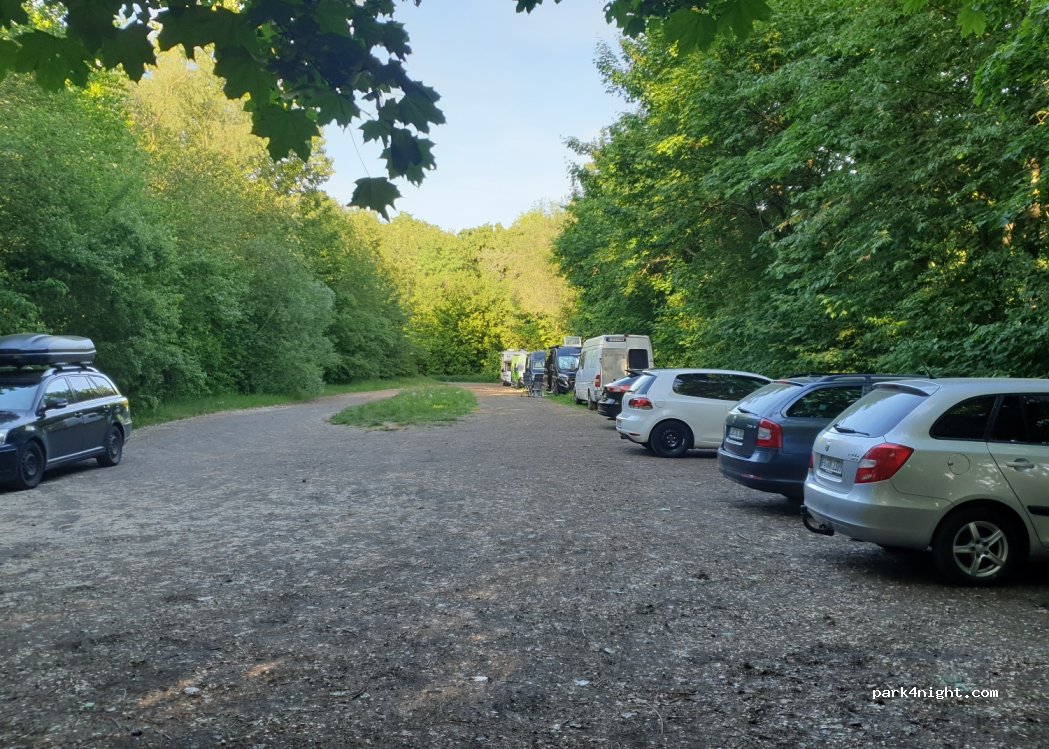 (61200) Wölfersheim - Geisenheimerstraße/Anglerheim — foto