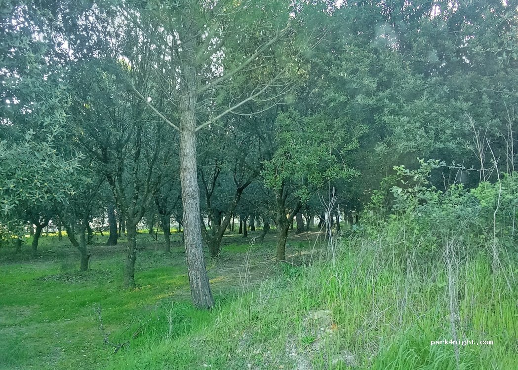 Domaine Saint Firmin — foto 5