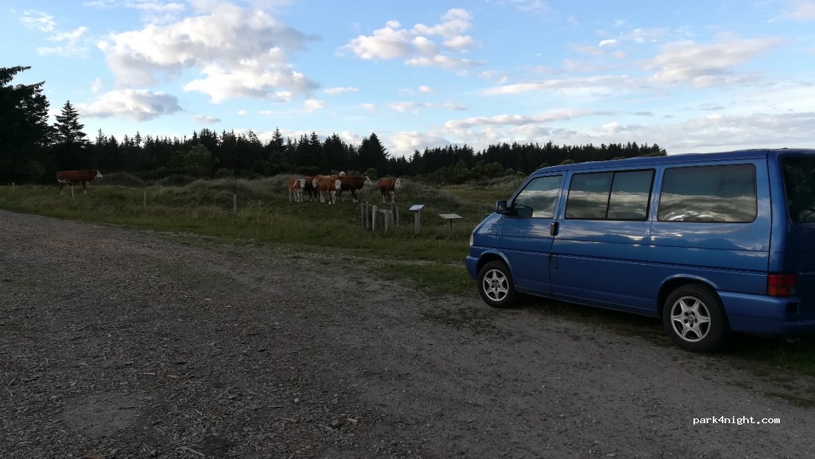 (9800) Hjørring - 310 Grønne Klitvej — foto