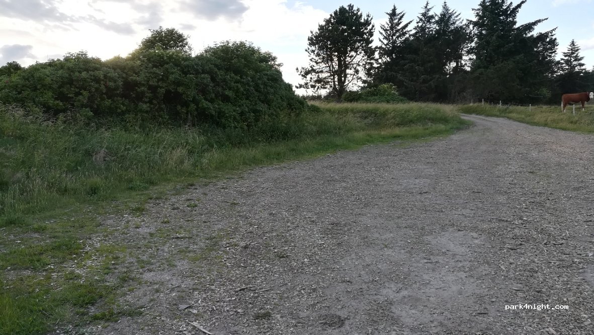 (9800) Hjørring - 310 Grønne Klitvej — foto 2