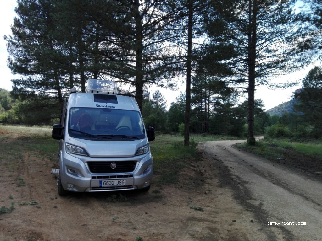 (16152) Uña - 39 CM-2105 — foto