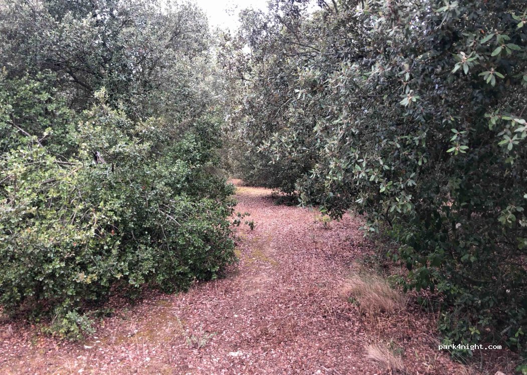 (11800) Villedubert - 16 Chemin des Amandiers — foto 3