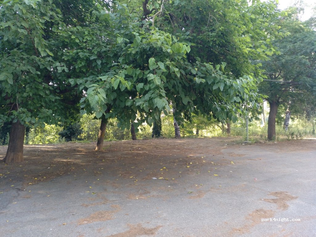 (25194) Lleida - 48 Camí Municipal de Butsènit — foto