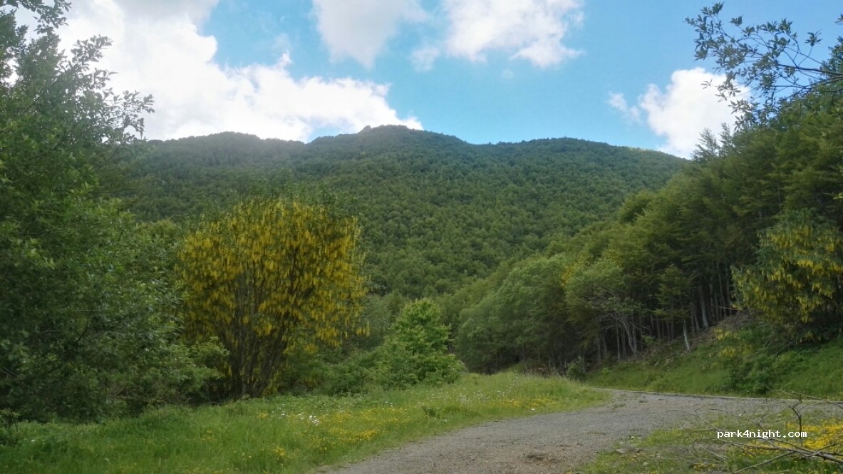 (43041) Volpara - Strada Provinciale 654 — foto 3