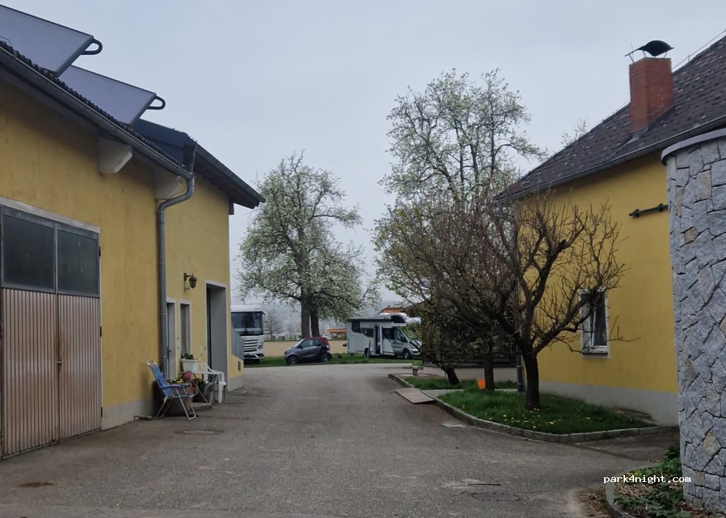 Mostheuriger Gassner — foto 4