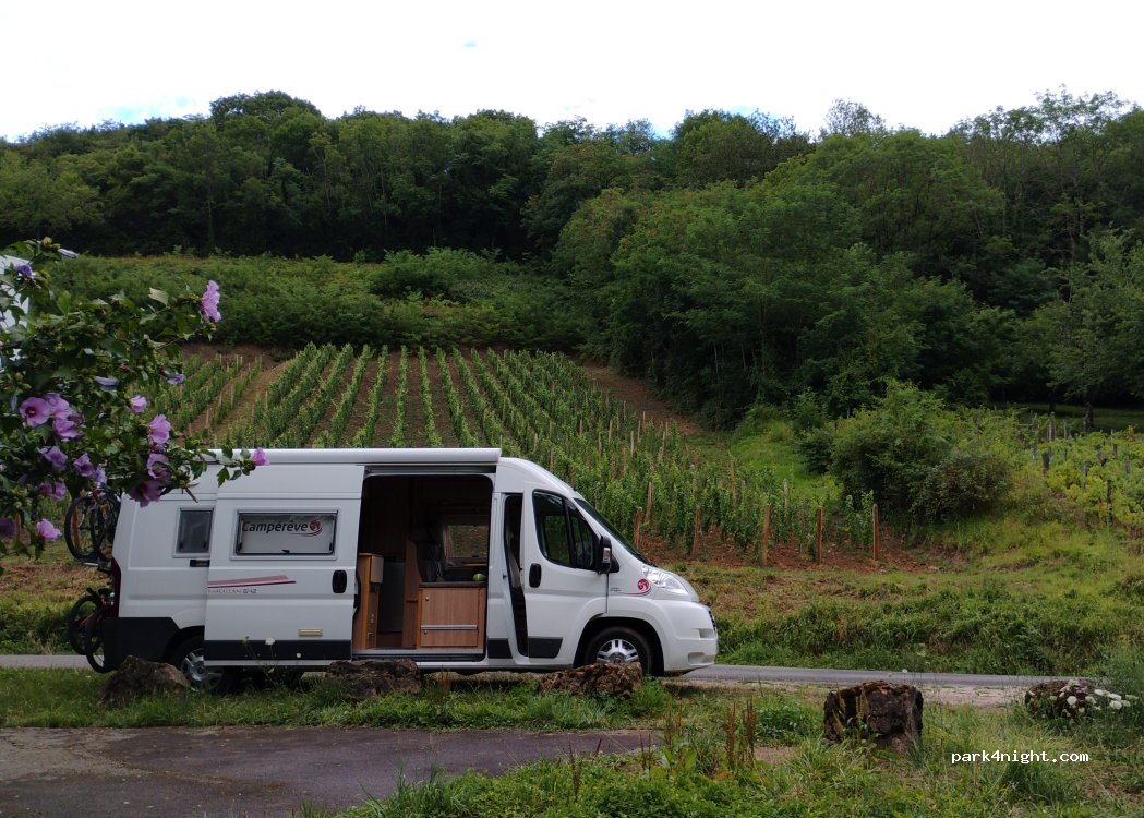 (39190) Gizia - 232 Route des Vignes — foto 5