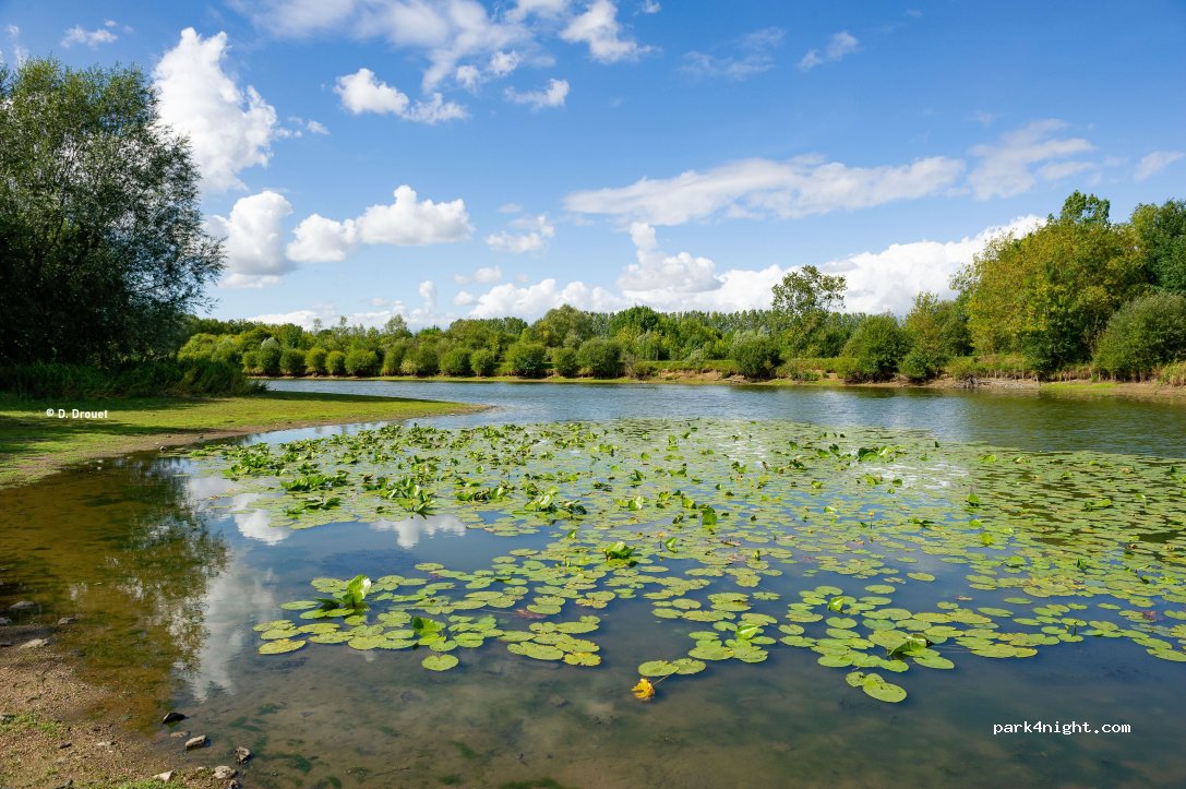 Camping Onlycamp - L'Orée des Boires — foto