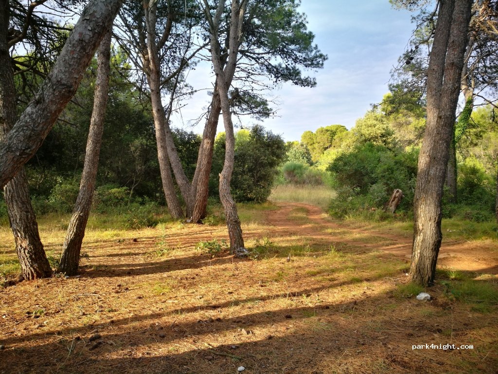 (52212) Vodnjan - Unnamed Road — foto 2