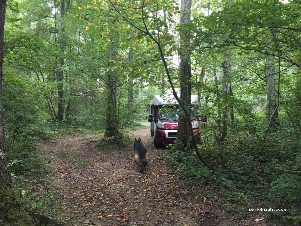 (65150) Bizous - Route de Bizous — foto 2