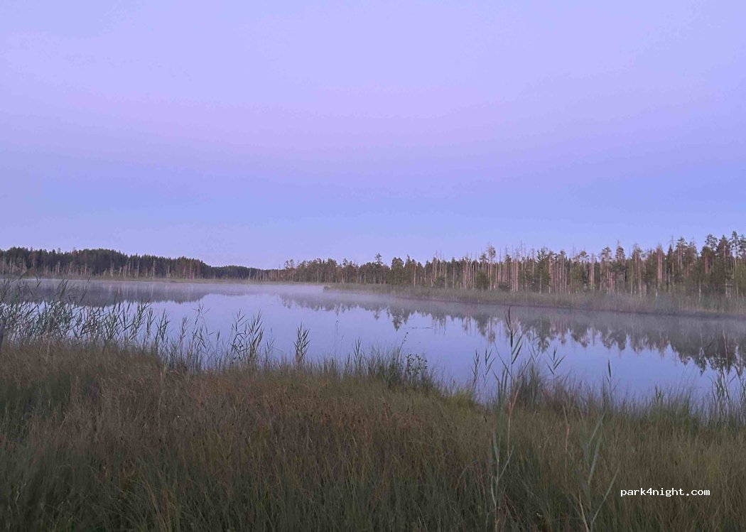 (81160)  - 121 Jerontie — foto 2