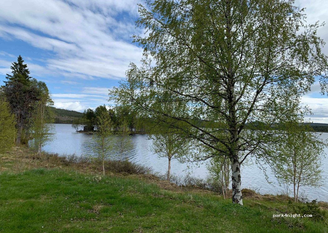 Avasund Fiske & Camp — foto 4