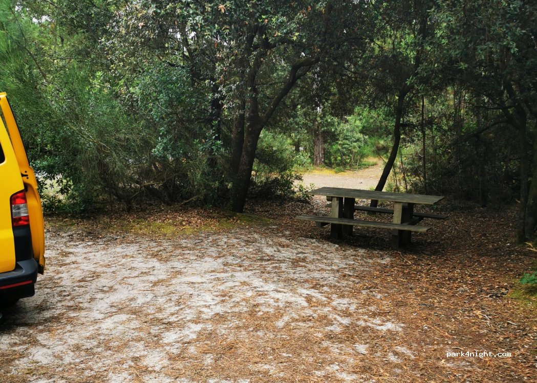 (33123) Le Verdon-sur-Mer - Allée Brémontier — foto 2