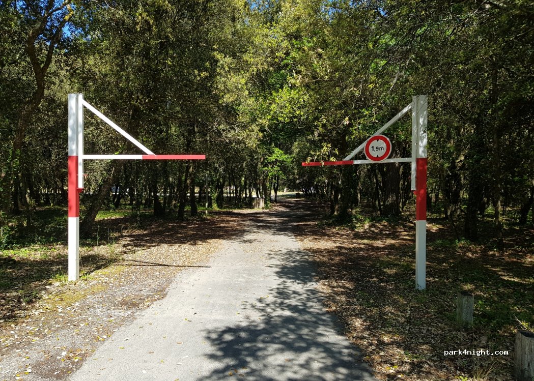 (33123) Le Verdon-sur-Mer - Allée Brémontier — foto 4
