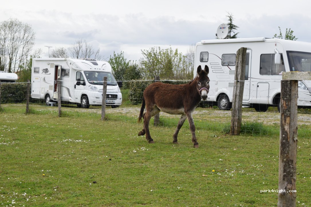 Sarl les Fromages de Sylvie — foto 2