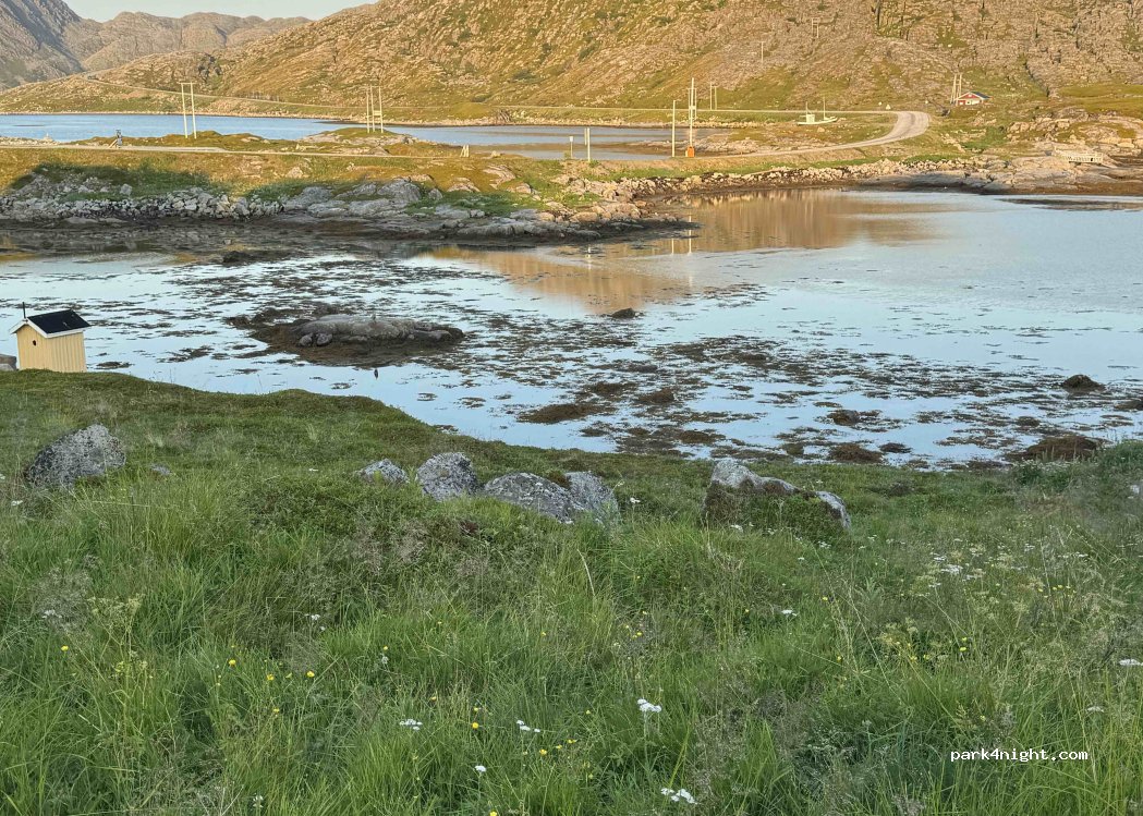 (9765) Gjesvær - 14 Tore Hundsveg — foto 5