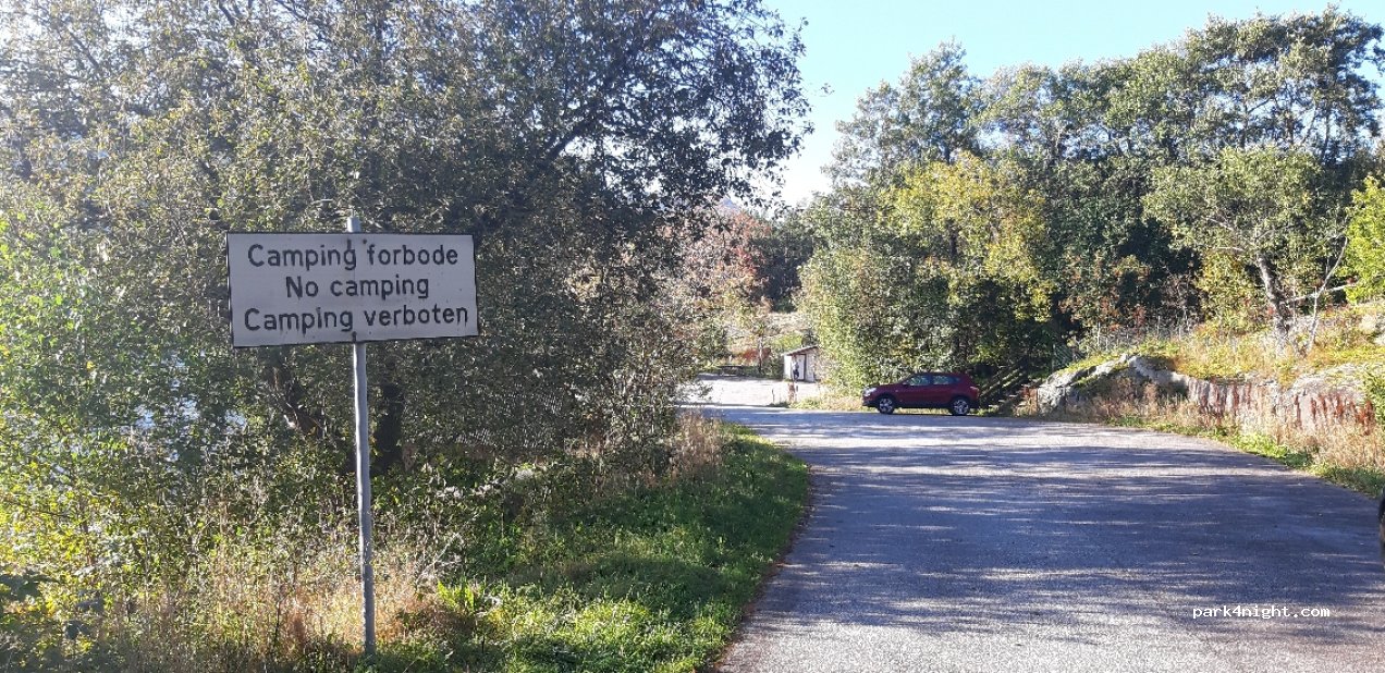 (6995) Kyrkjebø - 166 Primær Fylkesvei 55 — foto 2