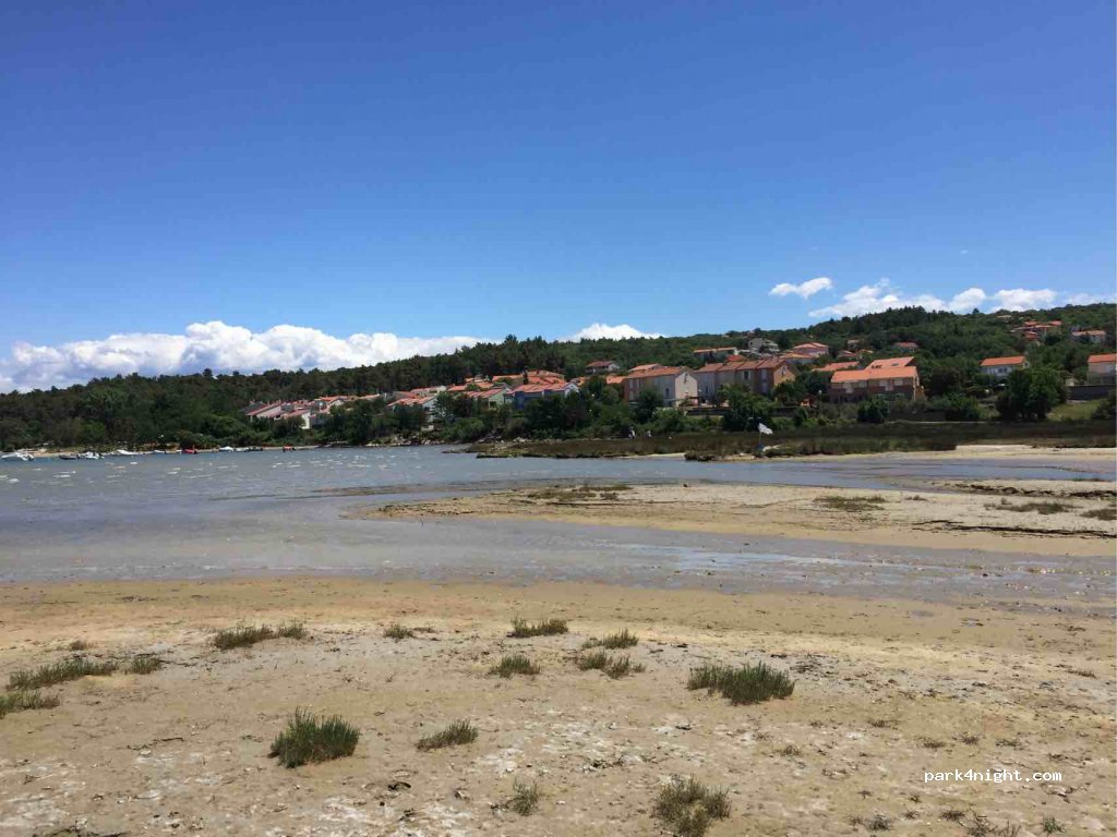 (51514) Sužan - 1 Meline — foto 3