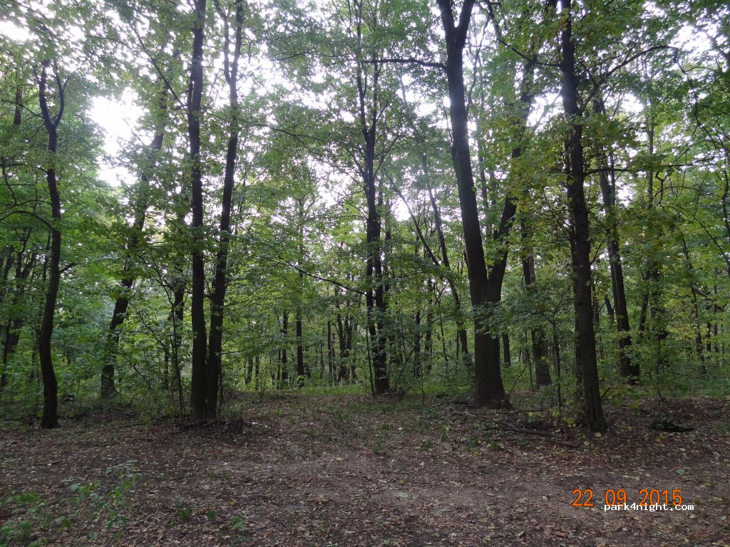 ()  - Unnamed Road — foto 2