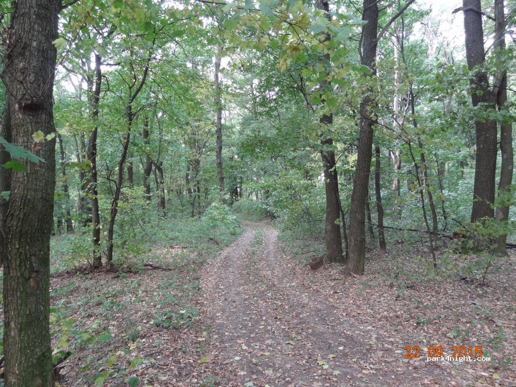 ()  - Unnamed Road — foto 3