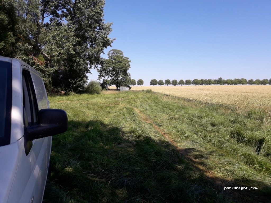 (77100) Mareuil-lès-Meaux - Chemin de la Fossé Goret — foto