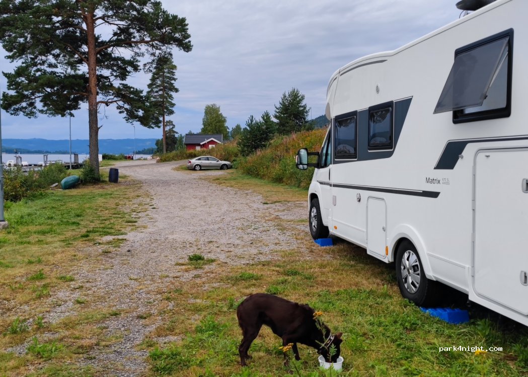 (2090)  - Primær Fylkesveg 180 — foto 4