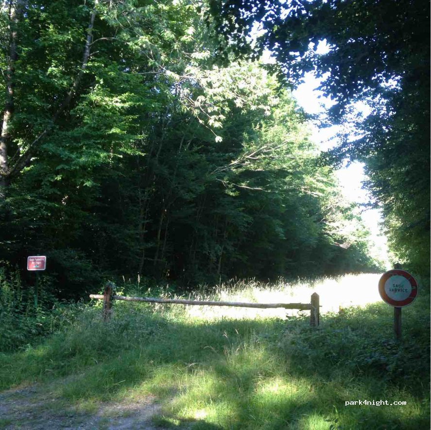 (45210) Griselles - Route des Usages — foto 2