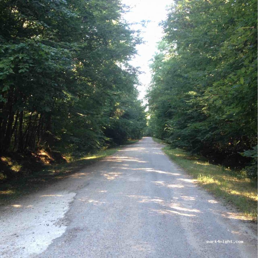 (45210) Griselles - Route des Usages — foto 3