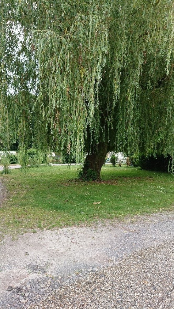 Camping le Colvert ** — foto 2