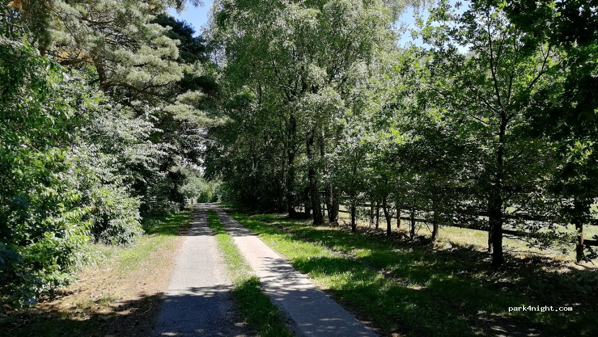 (25488) Holm - 50 Buttermoorweg — foto