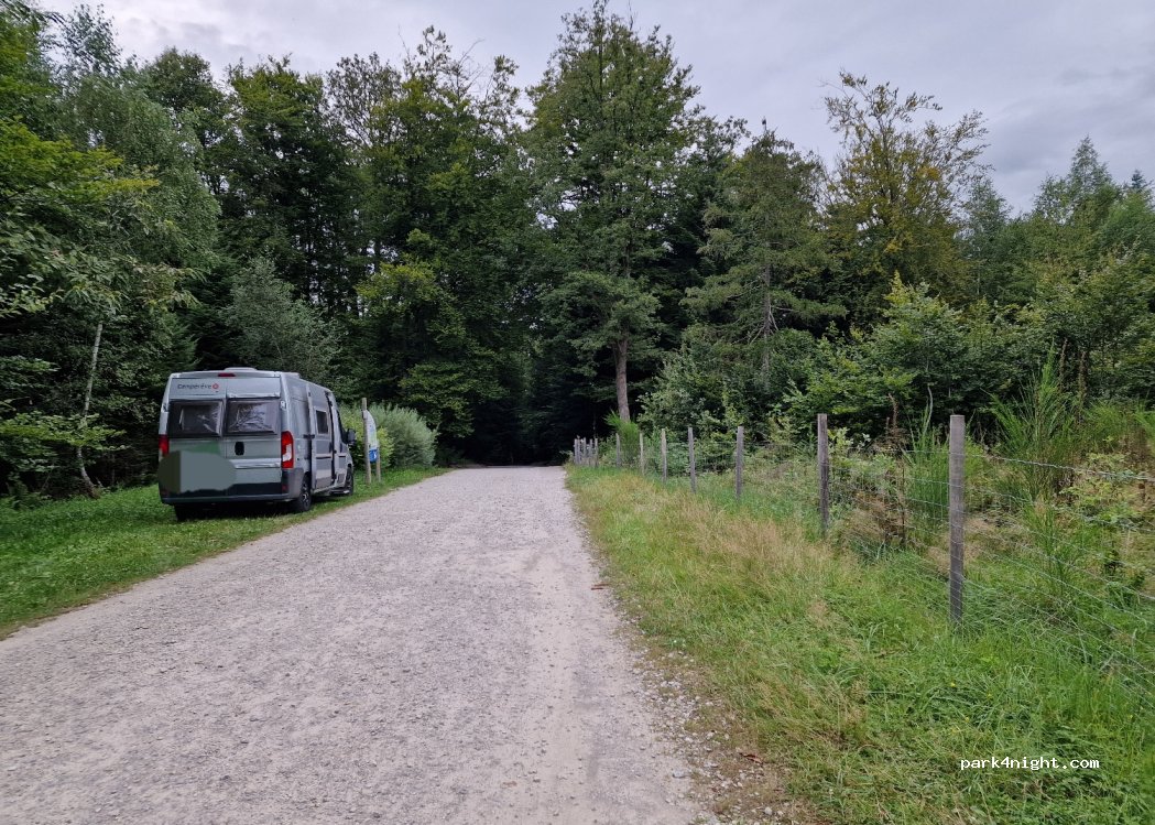 (88390) Chaumousey - 305 Chemin d'Ambafosse — foto 3