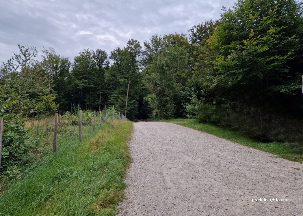 (88390) Chaumousey - 305 Chemin d'Ambafosse — foto 4