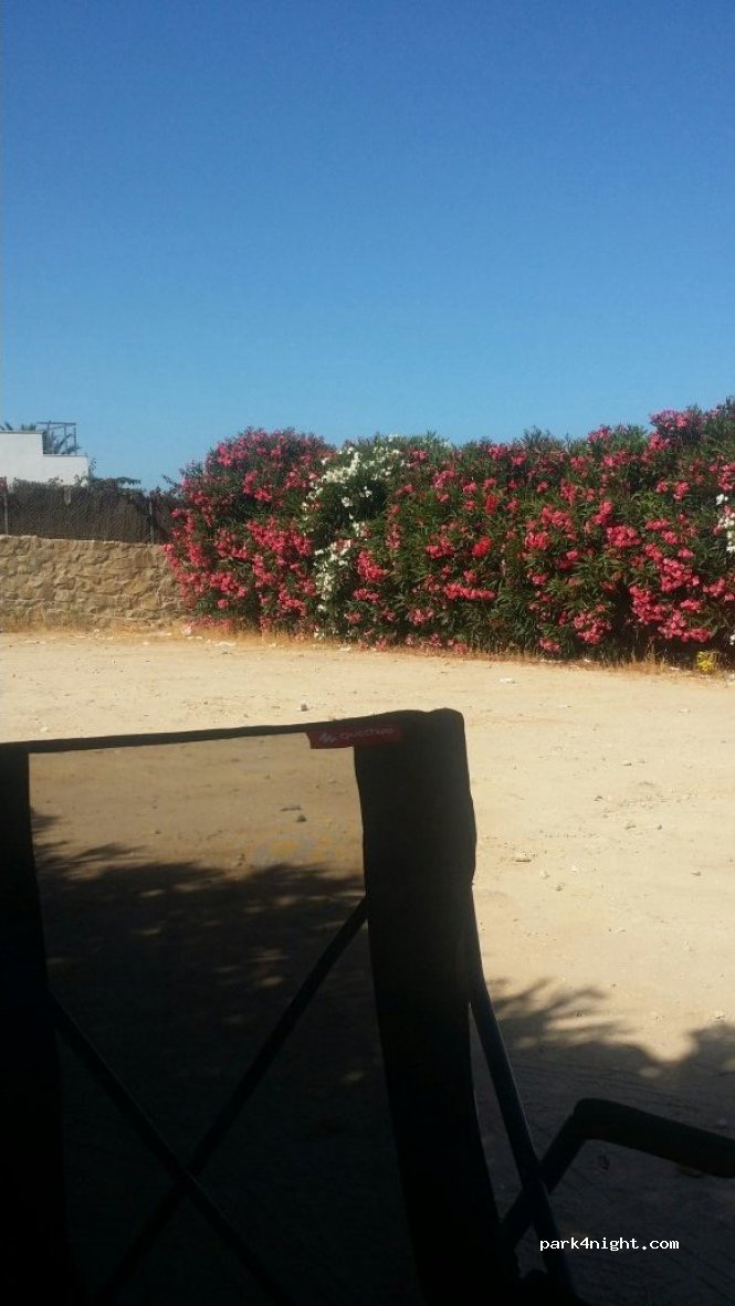 (11391) Tarifa - 32D Atlanterra Playa — foto