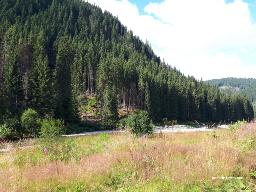 Chalet Obârşia Lotrului — foto 2