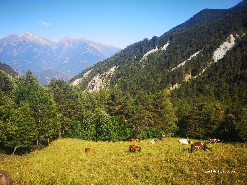 (11020) Champdepraz - Unnamed Road — foto