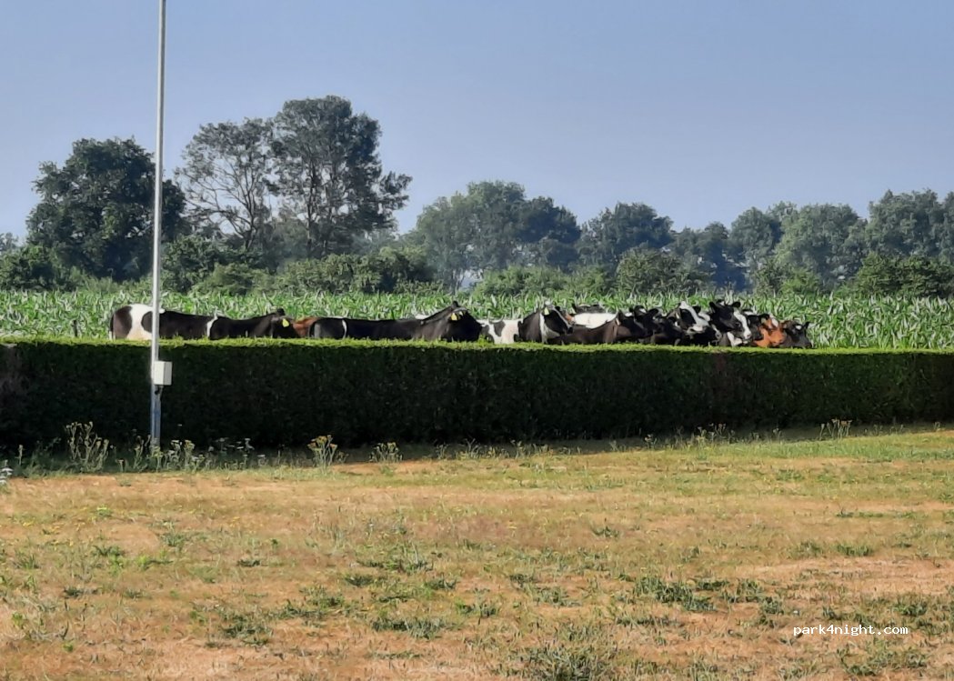 Mini-Camp Boksheide — foto 4