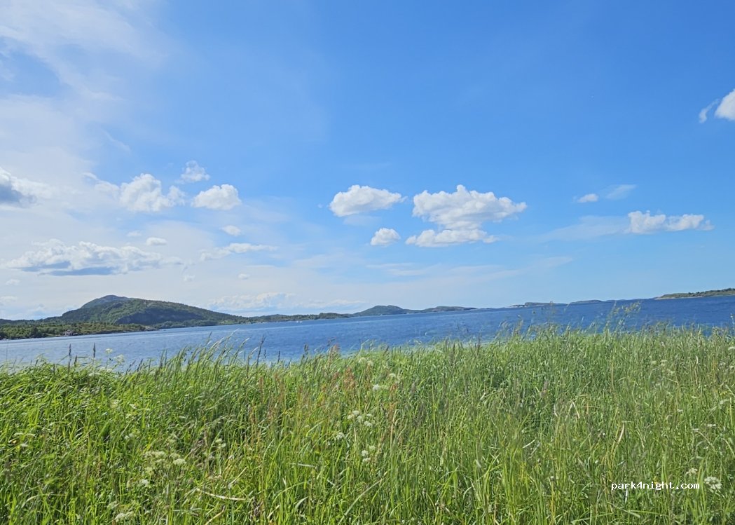 (7170) Åfjord - Selnesveien — foto 4
