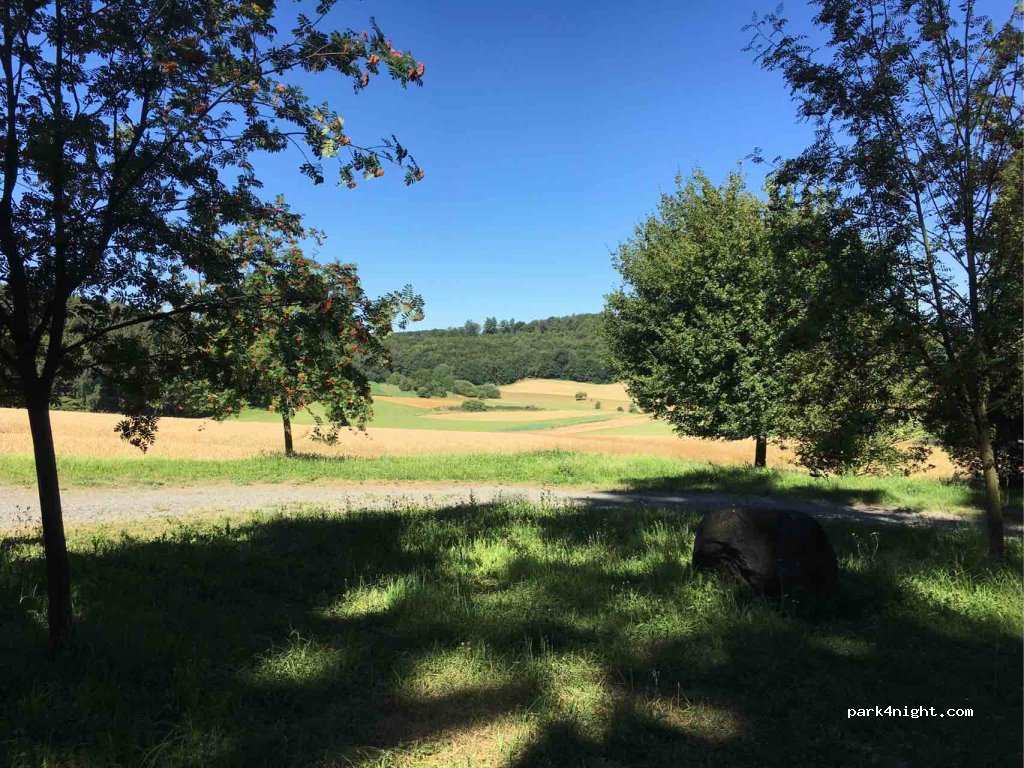 (64405) Fischbachtal - 25 L3107 — foto 2
