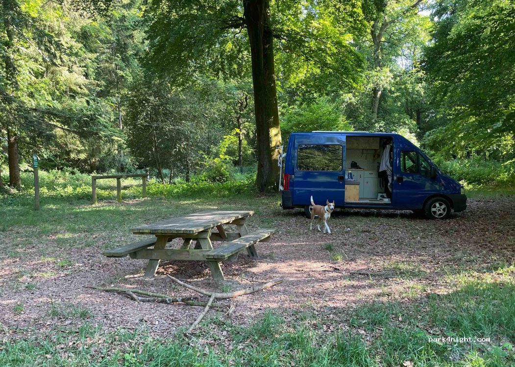 (80150) Forest-l'Abbaye - Chemin des Trois Mares — foto 3